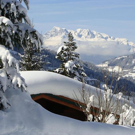 Chalets Ebner 埃本因蓬高 外观 照片